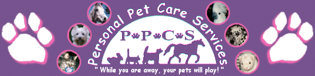 Personal Pet Care Services